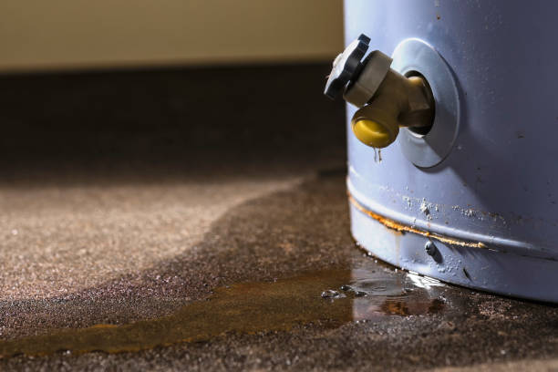 Best Water damage cleanup near me  in Indio, CA
