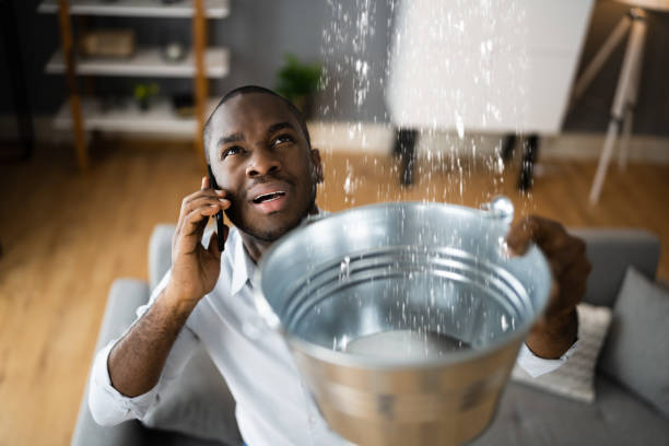 Best Professional water damage repair  in Indio, CA