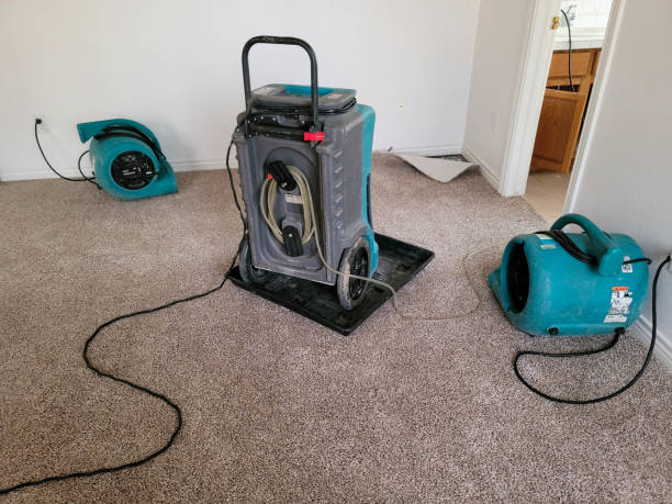 Best Carpet water damage restoration  in Indio, CA