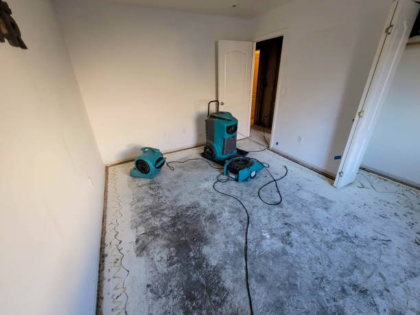 Best Water damage restoration near me  in Indio, CA