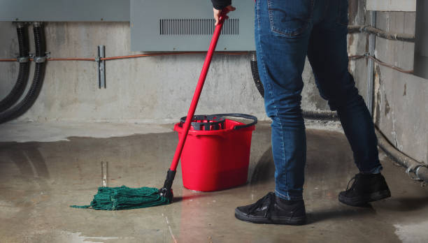 Best Mold removal after water damage  in Indio, CA