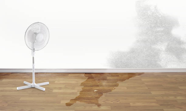  Indio, CA Water damage restoration Pros