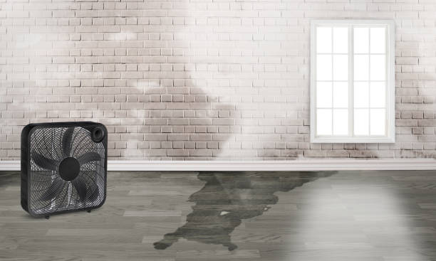 Best 24/7 water damage repair  in Indio, CA