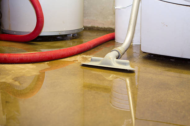 Best Water damage contractors near me  in Indio, CA