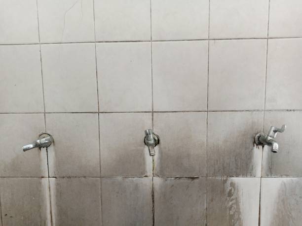 Best Local water damage restoration  in Indio, CA