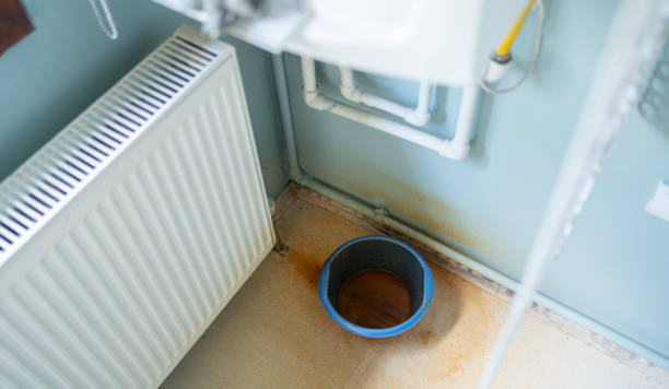 Best Water damage cleanup near me  in Indio, CA