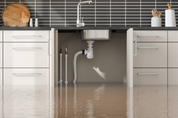 Best Basement water damage restoration  in Indio, CA