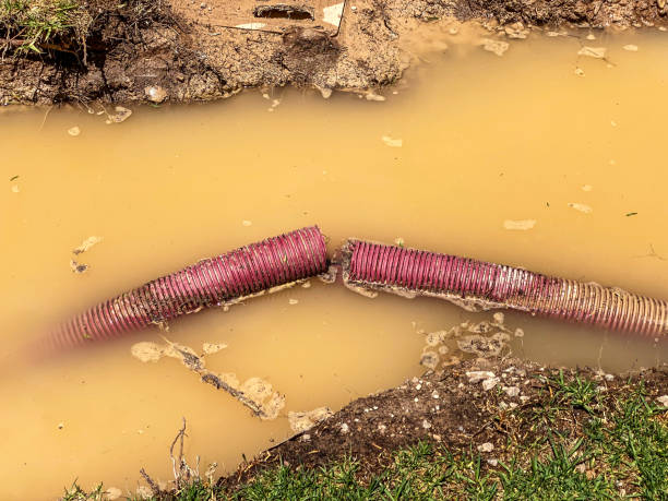 Best Flood restoration services  in Indio, CA